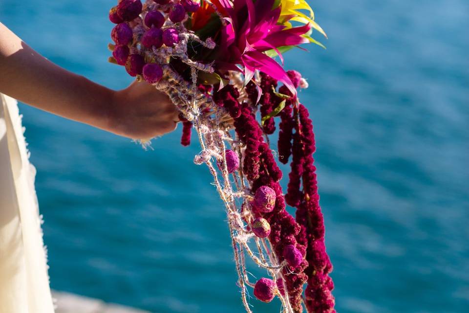 Tropical Flowers