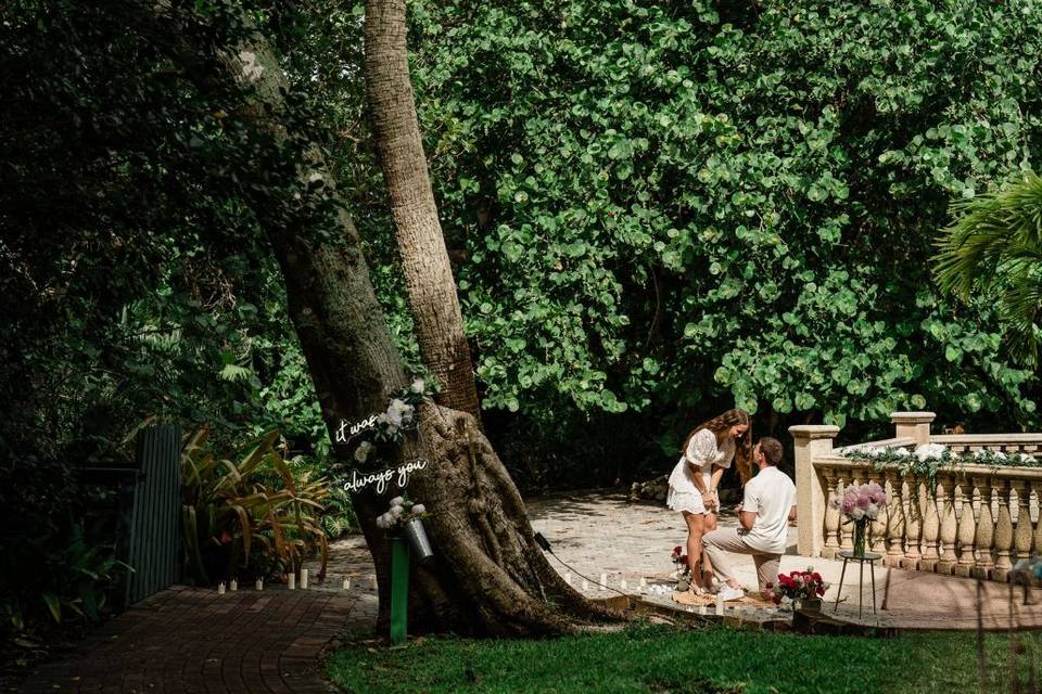 Surprise proposal