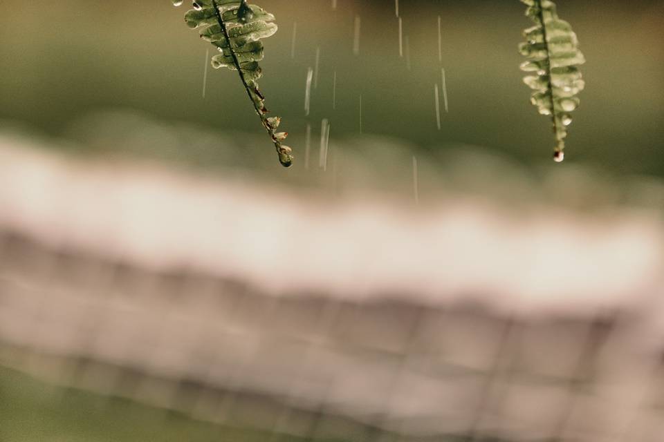 Rainy wedding