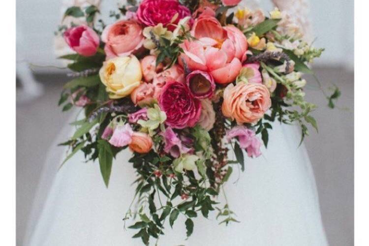 Rose Petals – Los Angeles Florist - Pink Clover