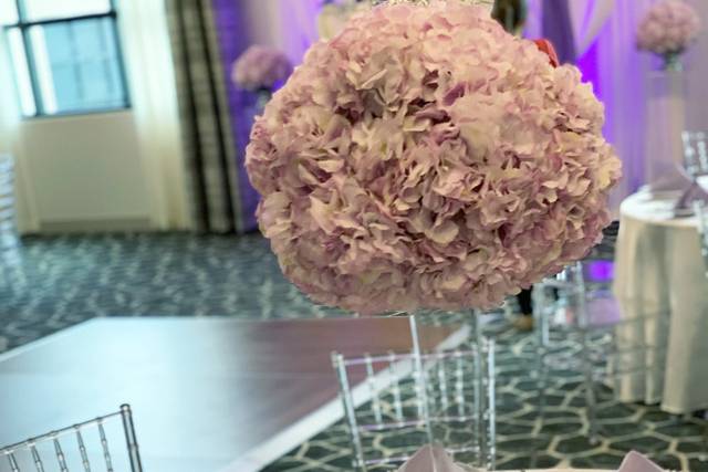 Bella Layne Events
