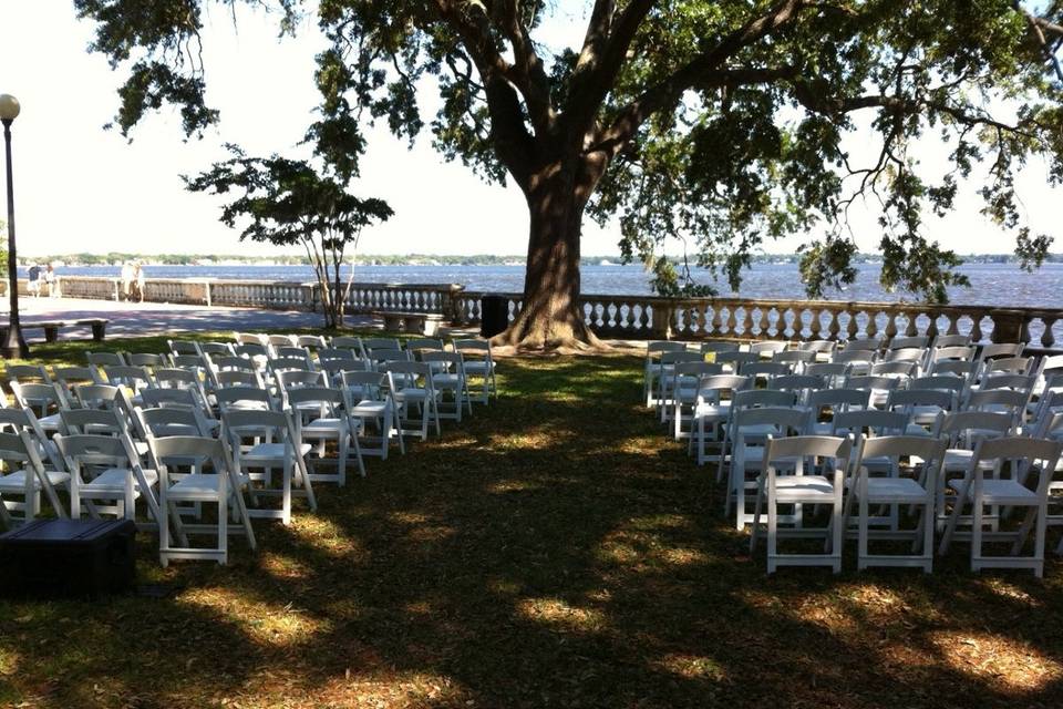 Under the tree