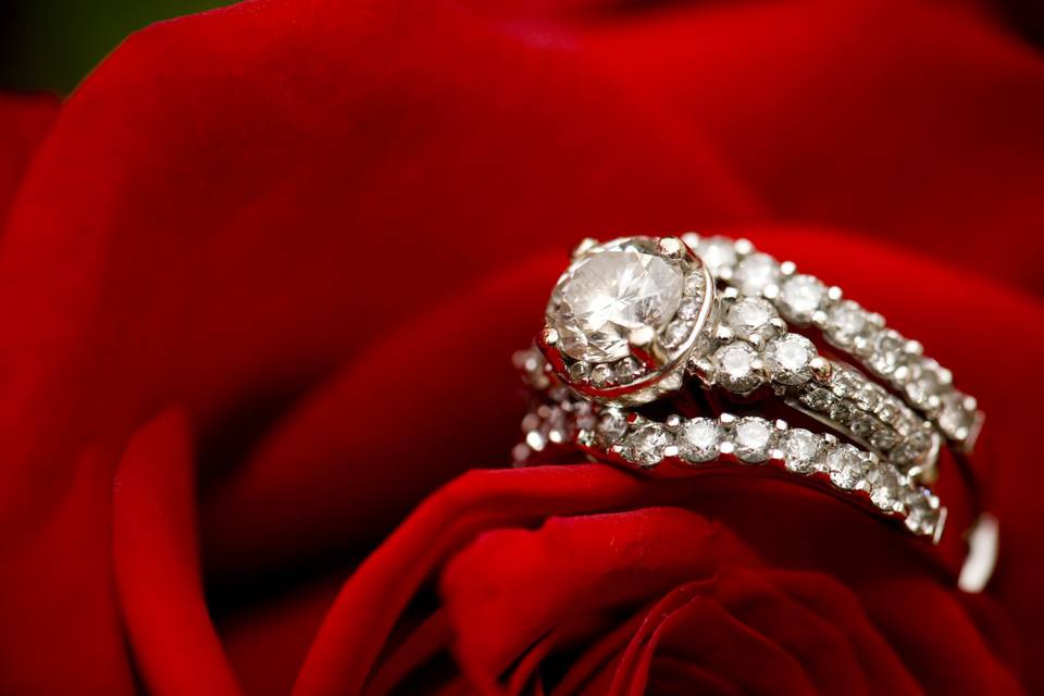 Michael Reed Weddings