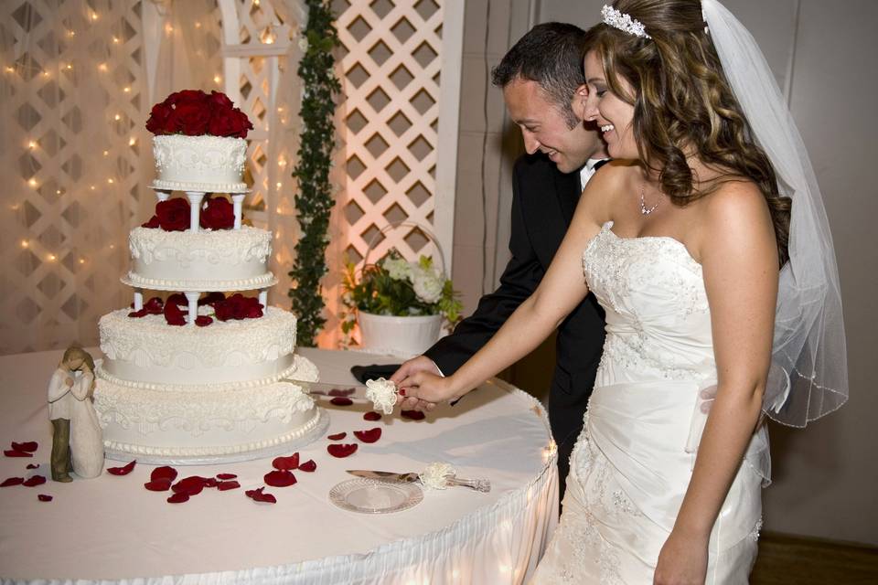 Michael Reed Weddings