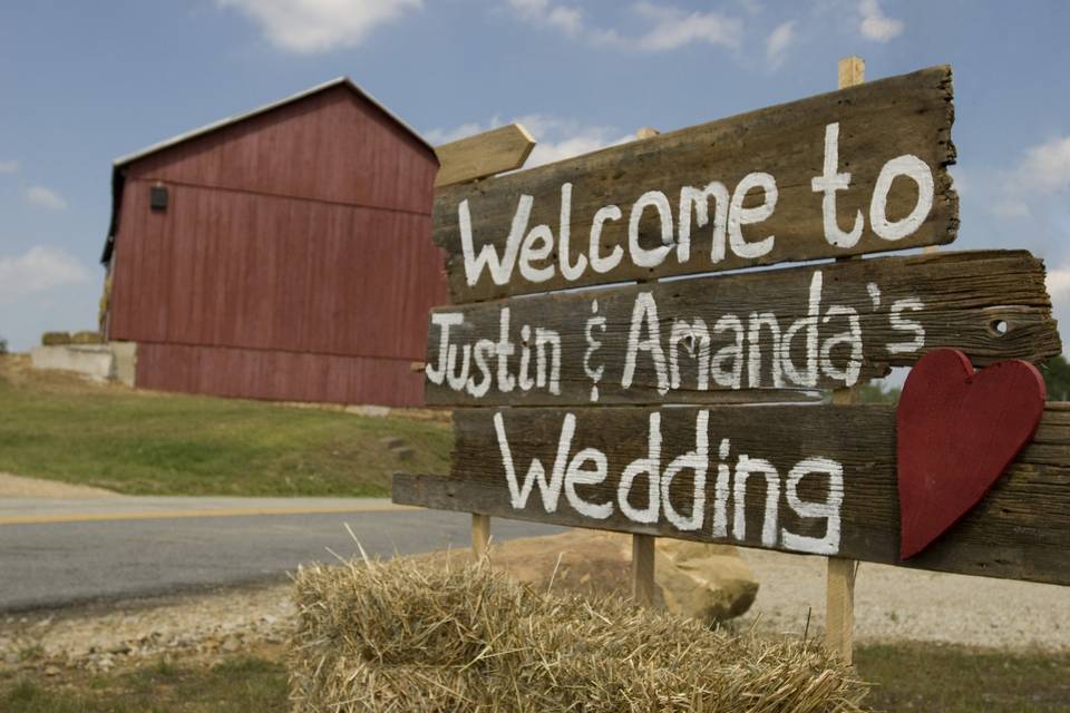 Michael Reed Weddings