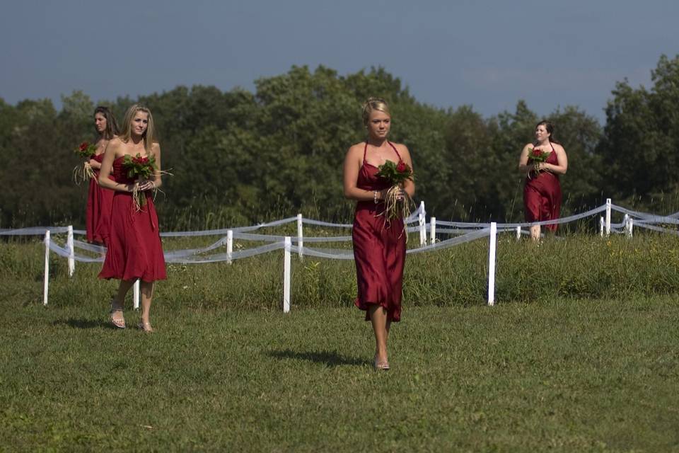 Michael Reed Weddings