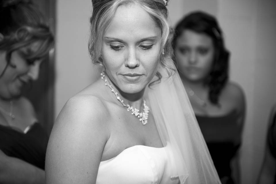 Michael Reed Weddings