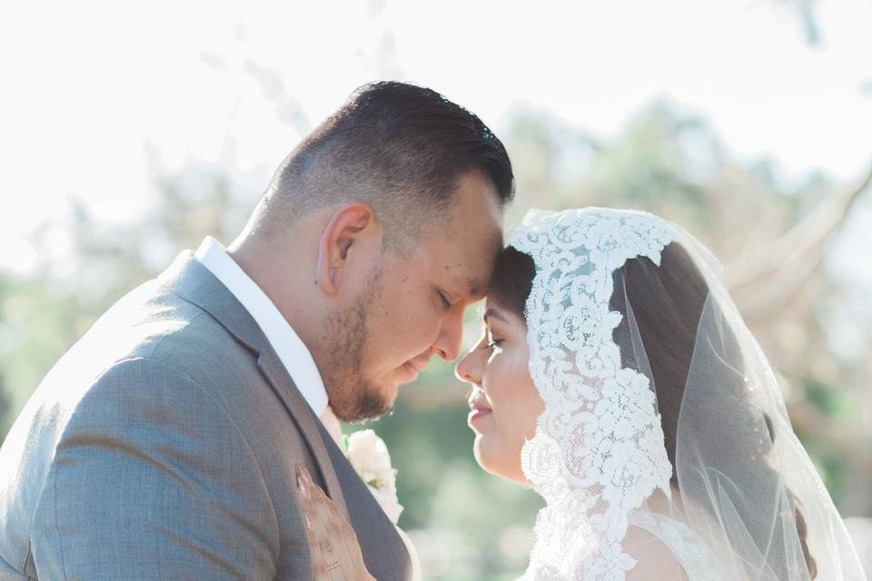 Pasadena City Hall engagement