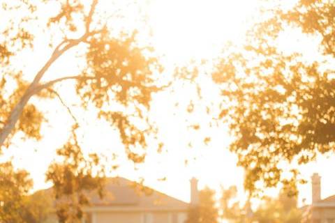 Golden Hour