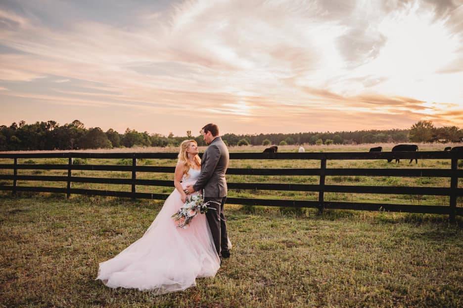 Sunset pasture