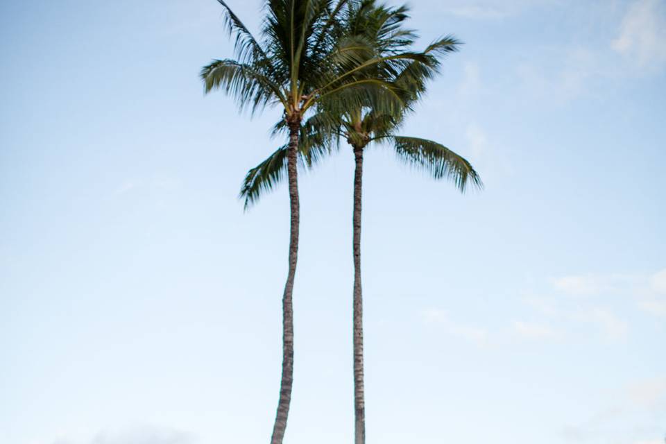 Island Wedding Memories - Maui