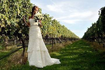 A bridal portrait in the vineyard