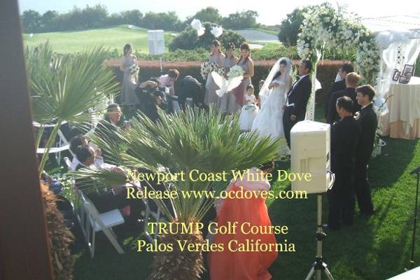 California Wedding 714-903-6599 WHITE DOVE RELEASE