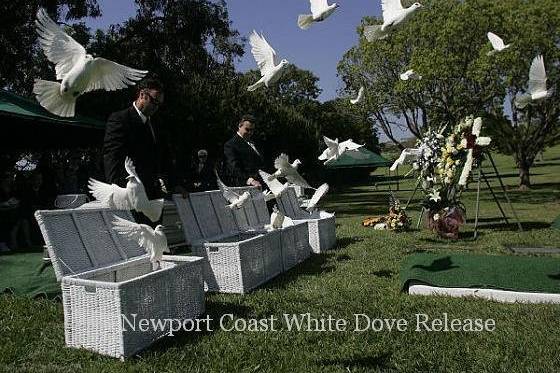 California Wedding 714-903-6599 WHITE DOVE RELEASE