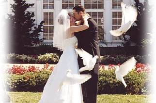 Doves Wedding