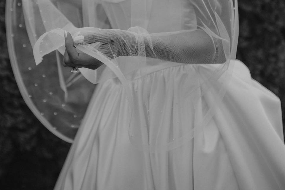 Bride under veil