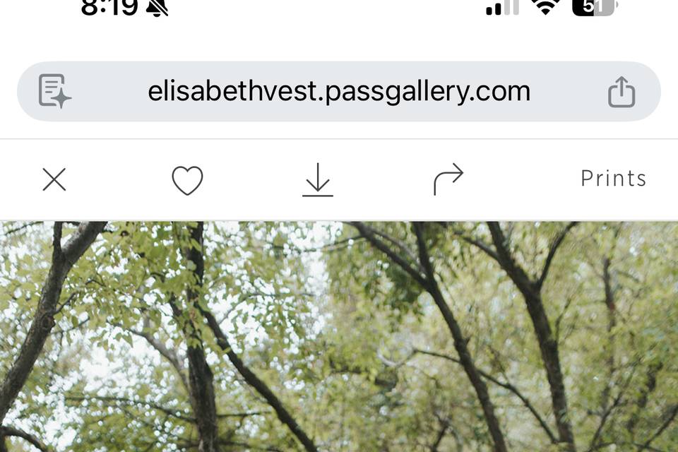Walking below the trees