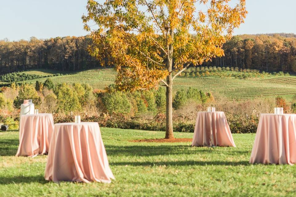 Outdoor cocktail reception