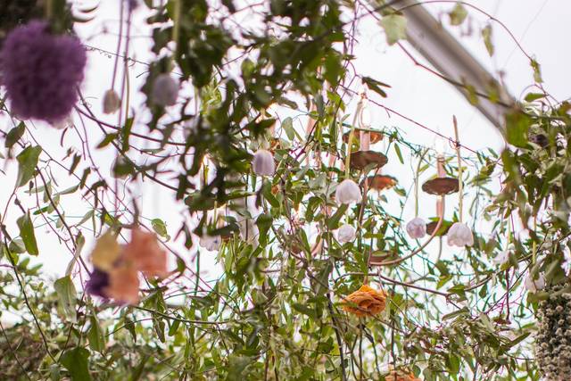 Floral Ceiling