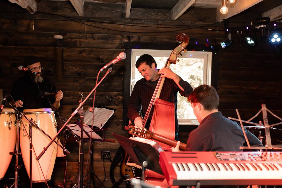 Wedding musicians | @cemorelisphotography