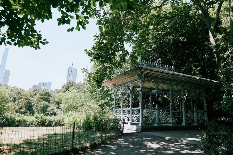 Ceremony in Central Park