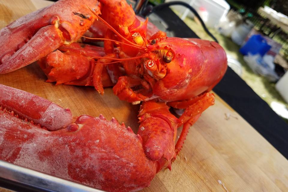 Lobster Bake Weddings