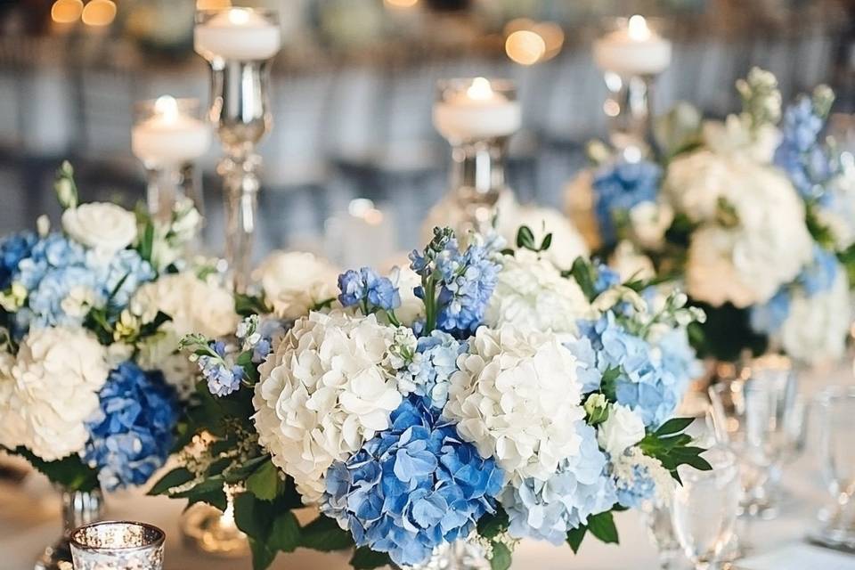 VÉRA ELITE™ silver blue vases