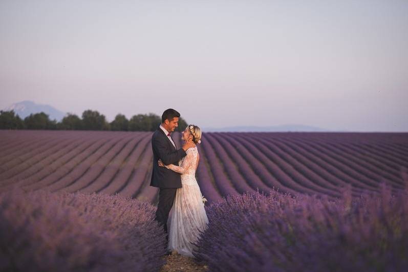 Provence lavender Elopement