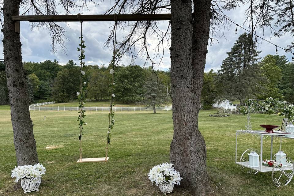 Swing