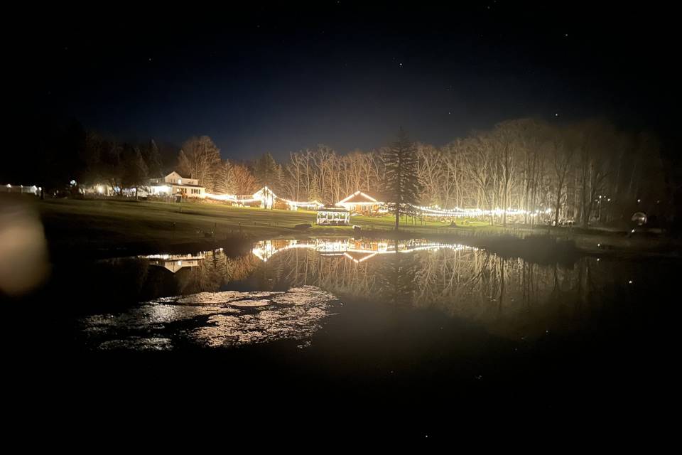 Reflection in Pond