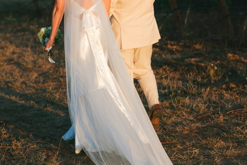 Vineyard Walks