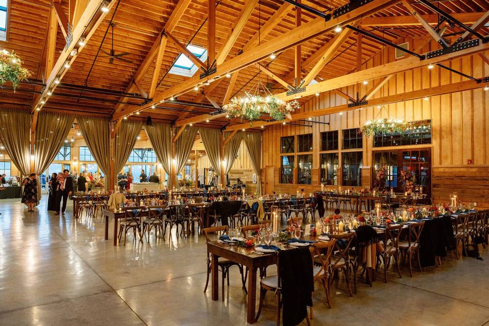 Arena Reception