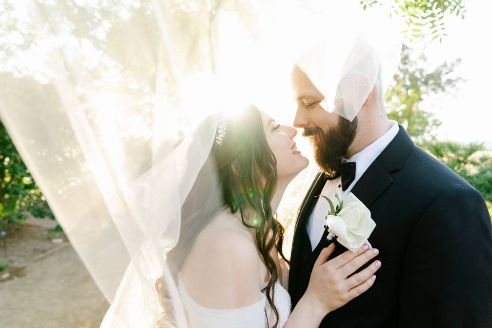 Springs Preserve wedding