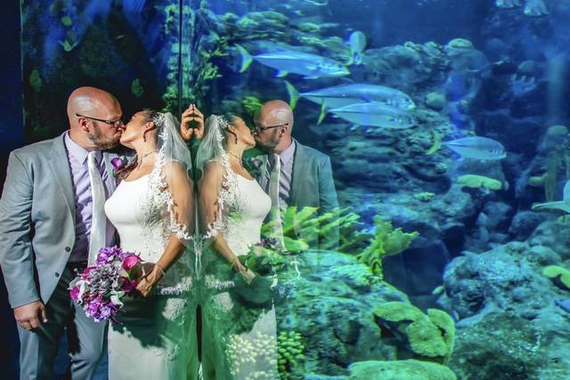 Under the sea