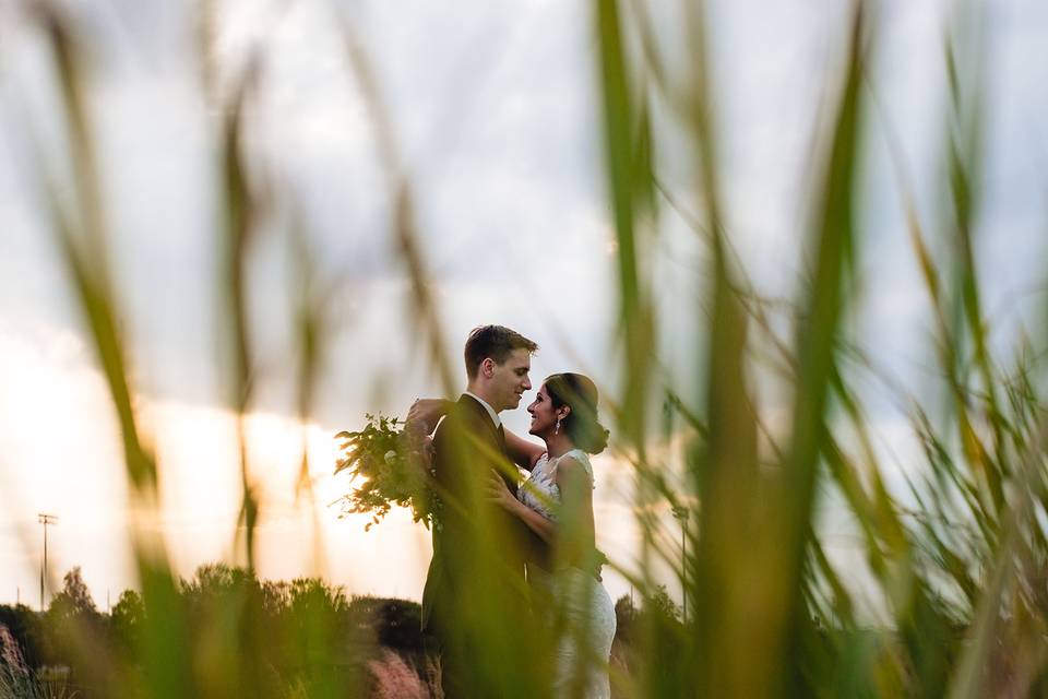 Through the Grass