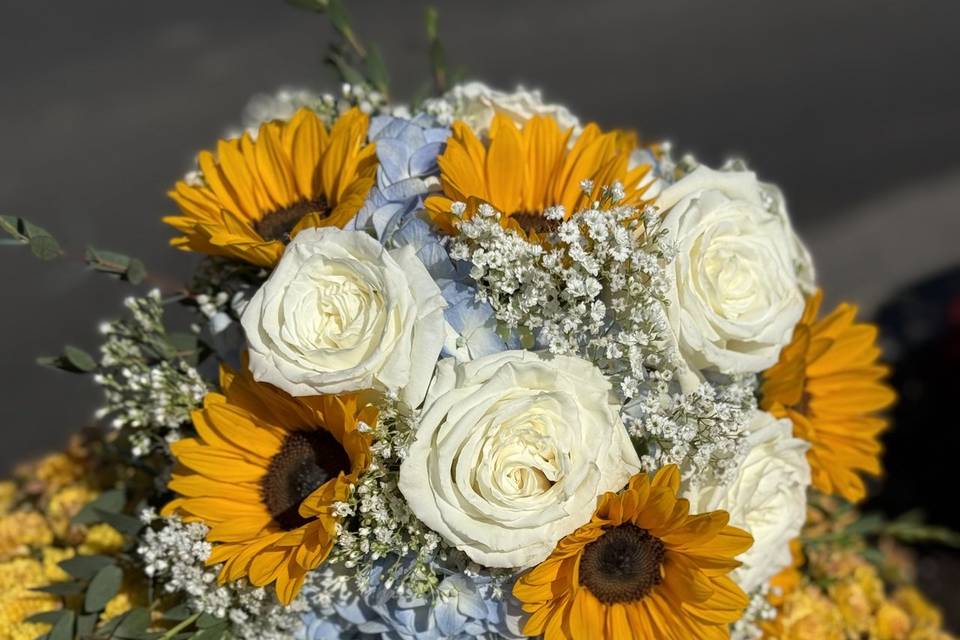 Sunflowers
