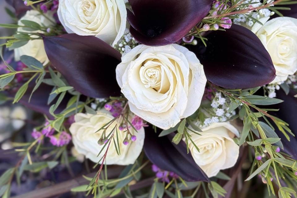 purple calla lily