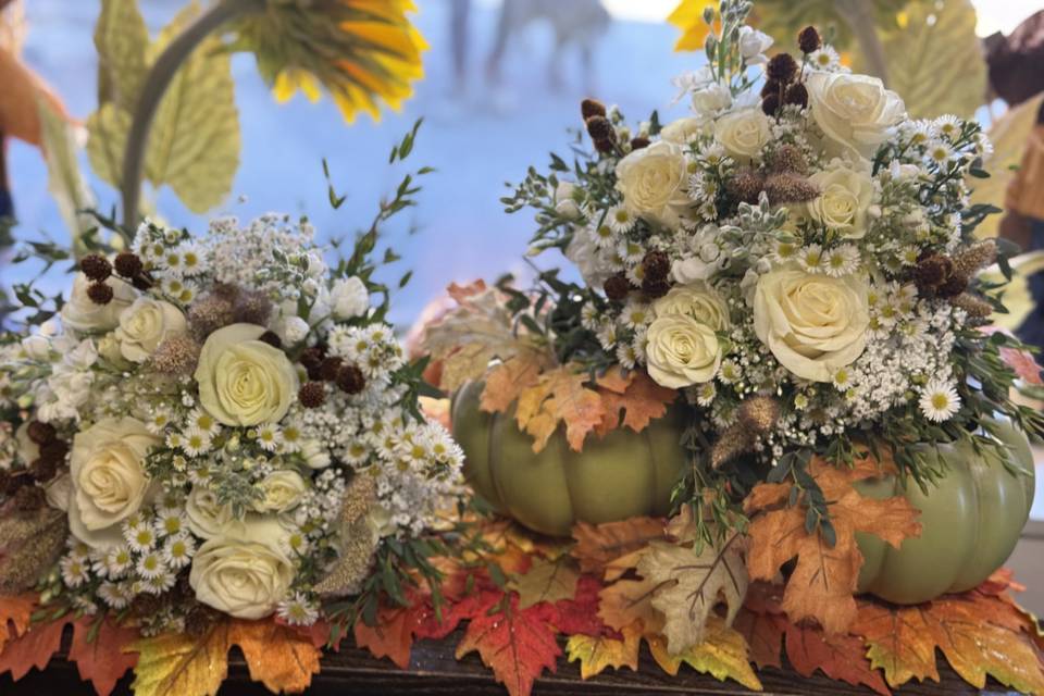 Fall
