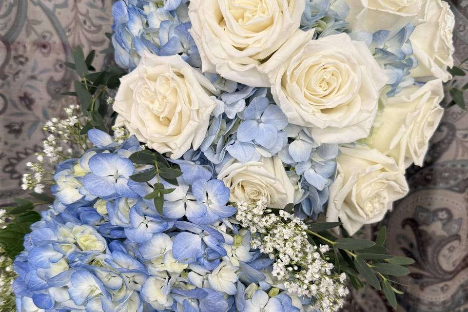 Blue hydrangea