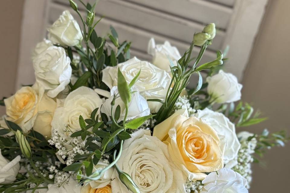Soft yellow and cream