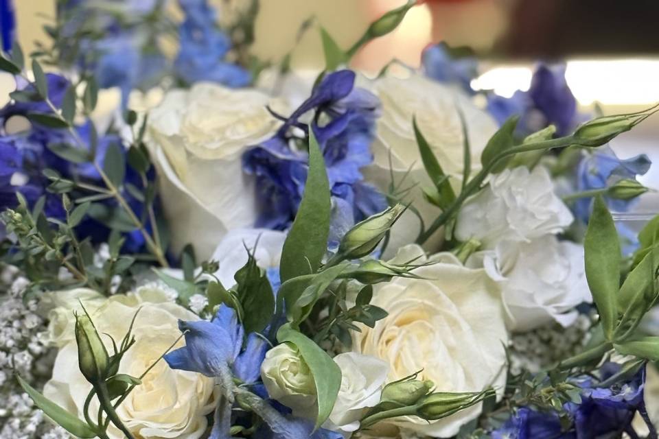 Blue delphinium
