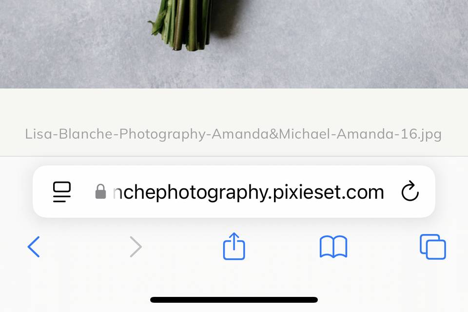 Bridal charms