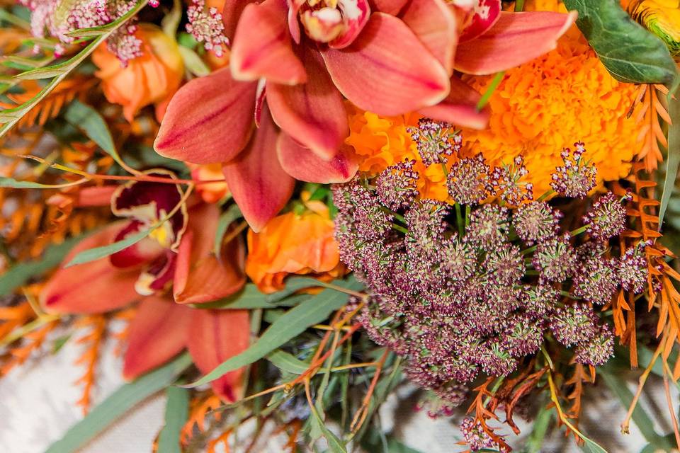 Frankie and Tucker Flowers | AmaZinn Photography