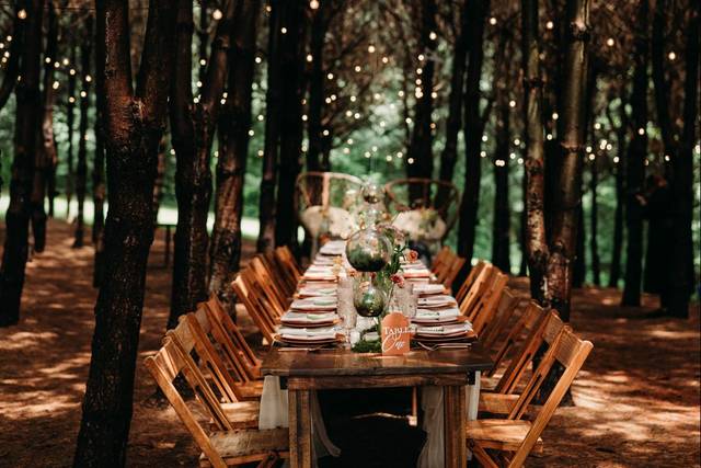 Long tablescapes