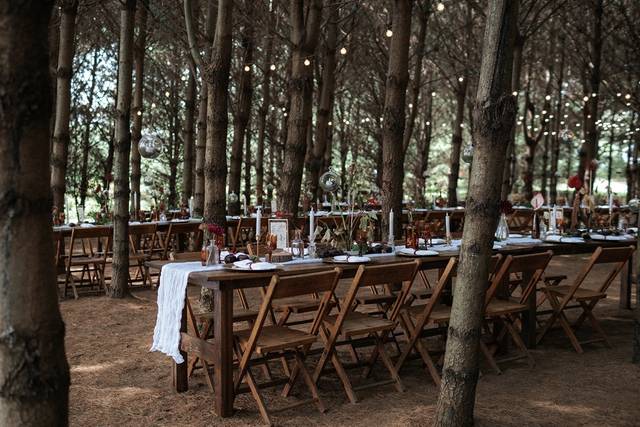 Forest