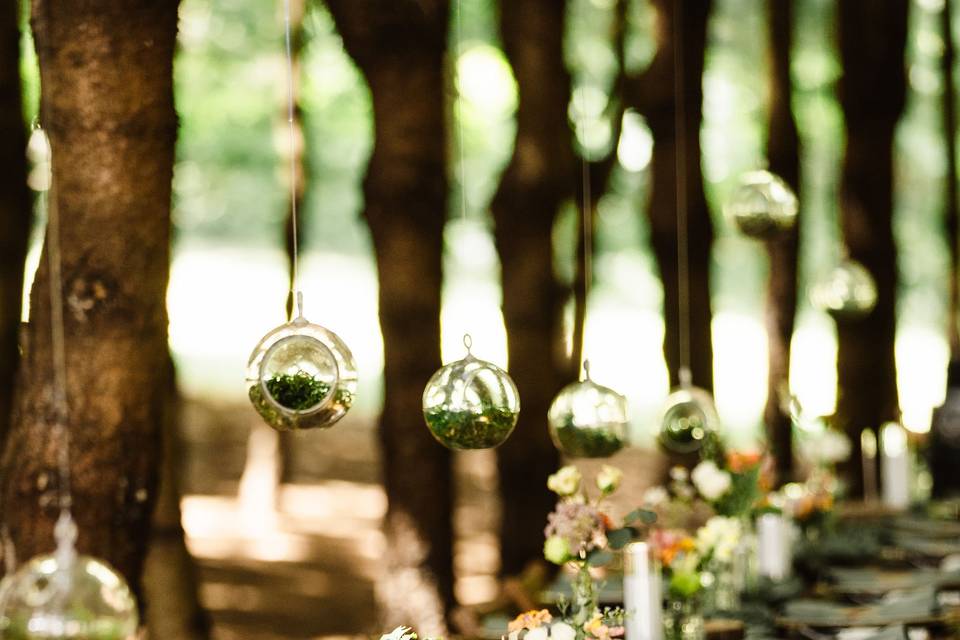 Forest reception
