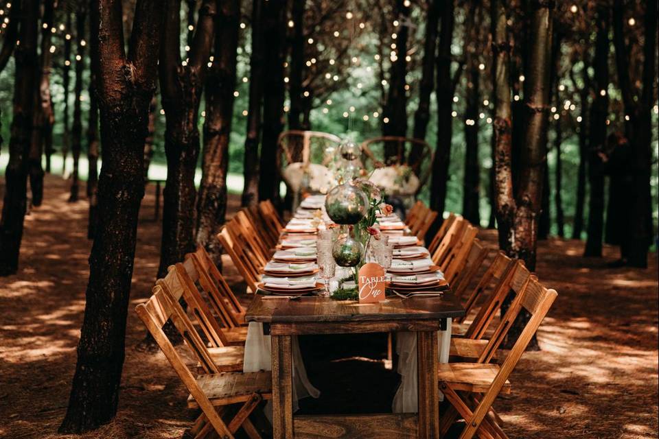 Long tablescapes