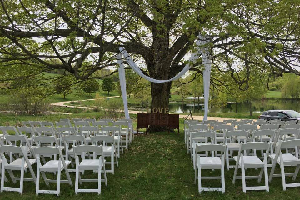Maple tree ceremony site