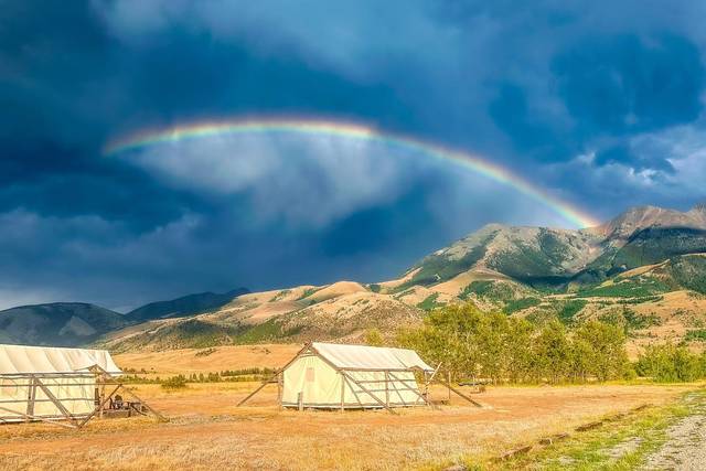 Yellowstone Dreamin Camp