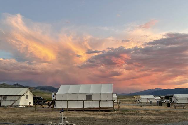 Yellowstone Dreamin Camp
